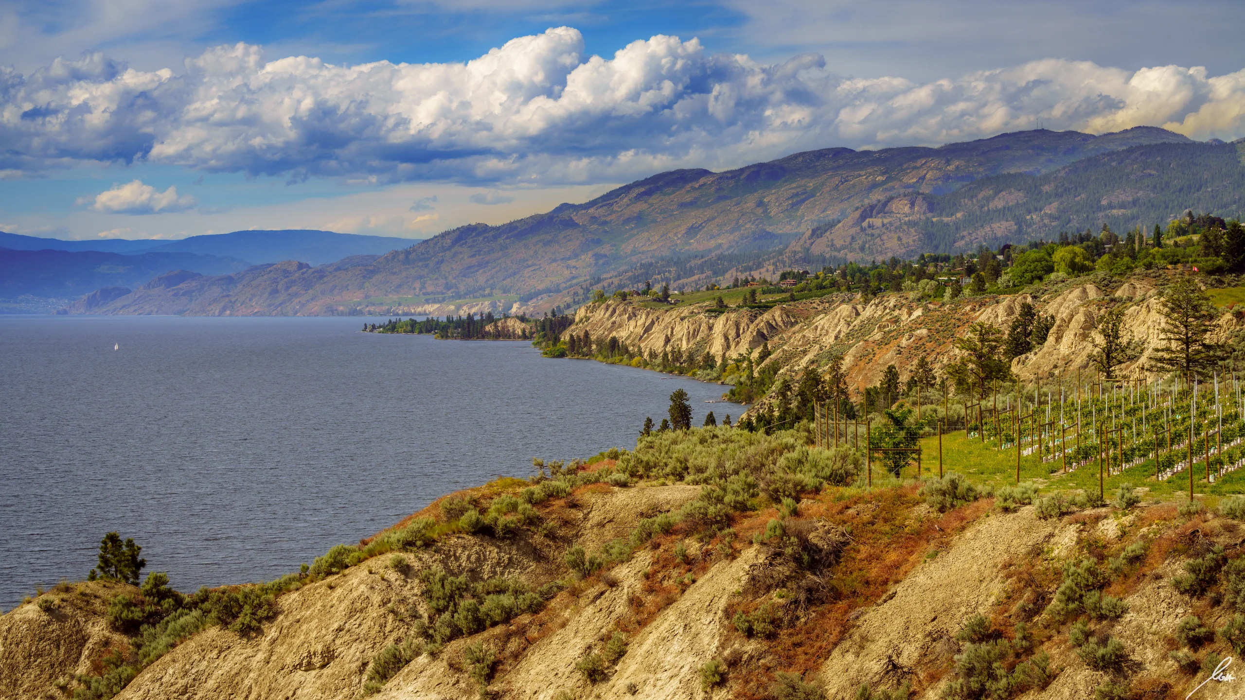 Okanagan valley aerial view