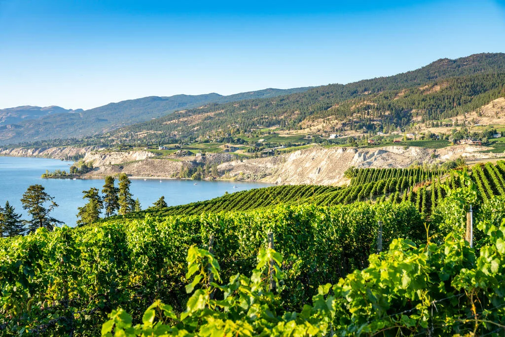Okanagan orchard and farmland