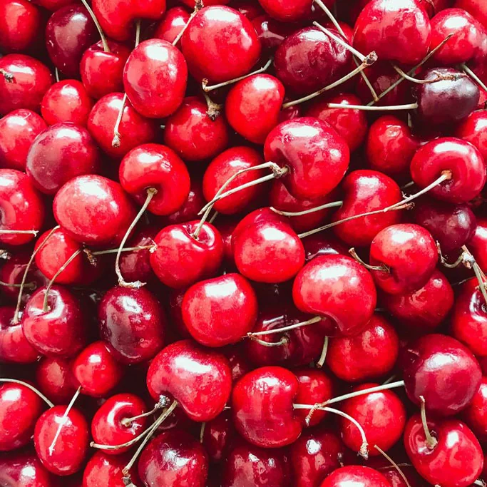 Okanagan cherries in summer